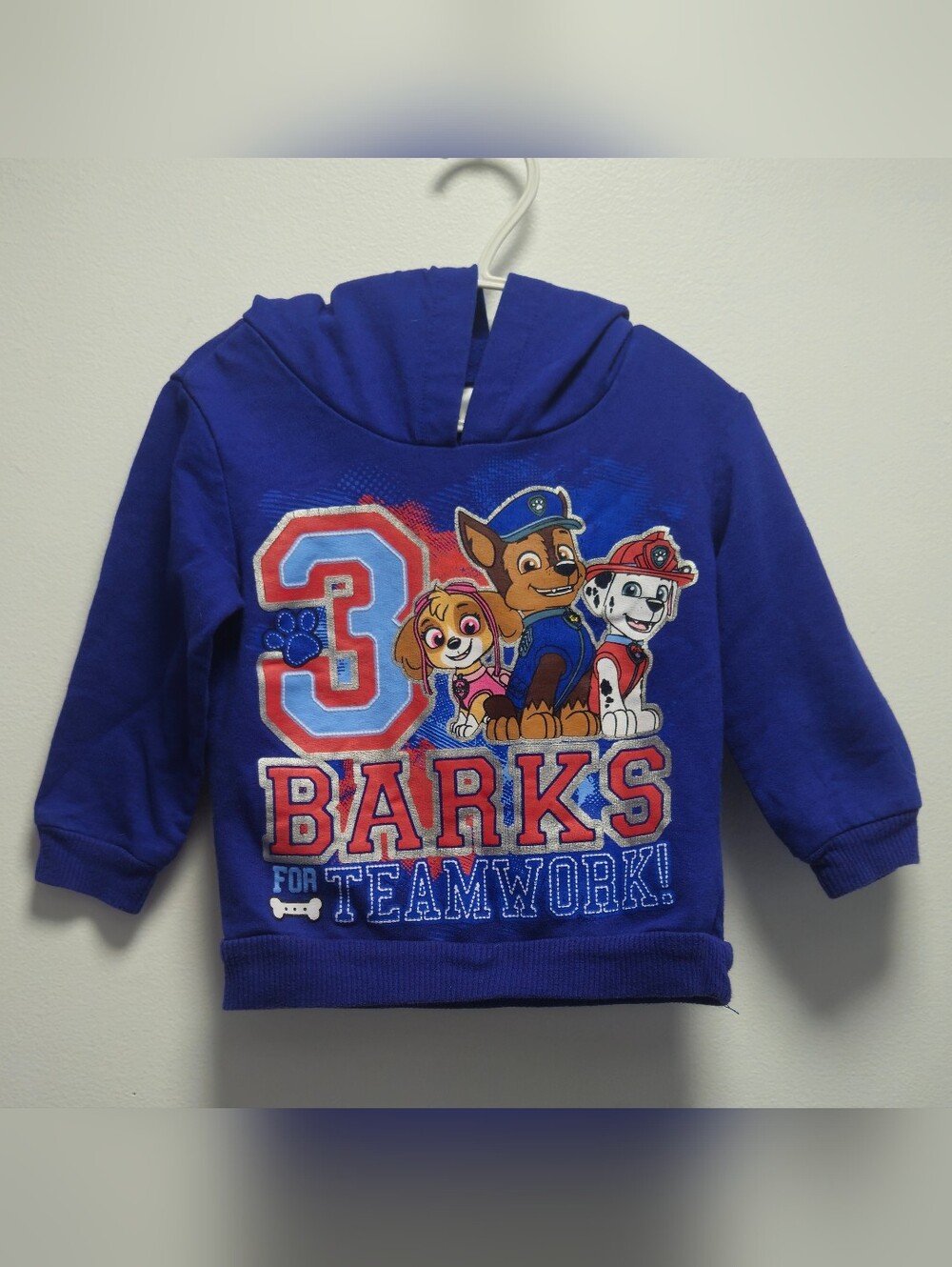 PAW Patrol Toddler Boys Blue Graphic Hoodie 2T Nickelodeon Skye Chase Marshall